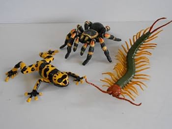 ♯Kti16CtカプセルQミュージアム有毒危険動物大全 6種 Amazon.co.jp: Kti16DtカプセルQミュージアム有毒危険動物大全 6